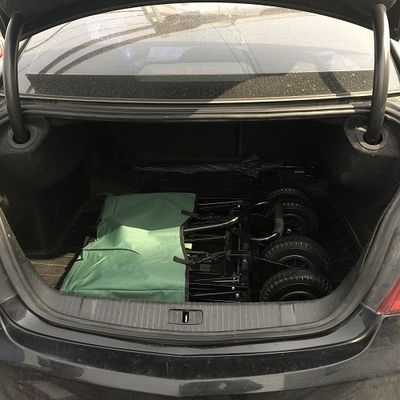 Carro para uso general del verde del carro de playa del plegamiento del ocio con la rueda 80kgs del aire